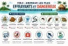 Animaux les plus Effrayants et Dangereux trouvés aux Fidji
