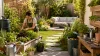 shockgarden.com​ site jardinage : Avis 2026 sur ce Blog Jardin