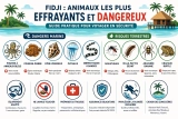Animaux les plus Effrayants et Dangereux trouvés aux Fidji