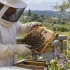 Oreiller ferme : comment choisir le bon soutien pour sa position de sommeil ?