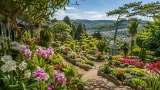 Jardin Botanique saverne org​ : Infos, Tarifs et Horaires