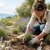 Comment faire repartir un Dracaena ? Astuce sauver la plante