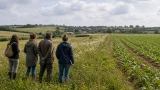 soutienfaucheursbretagne.fr : Mouvements anti-pesticides et OGM